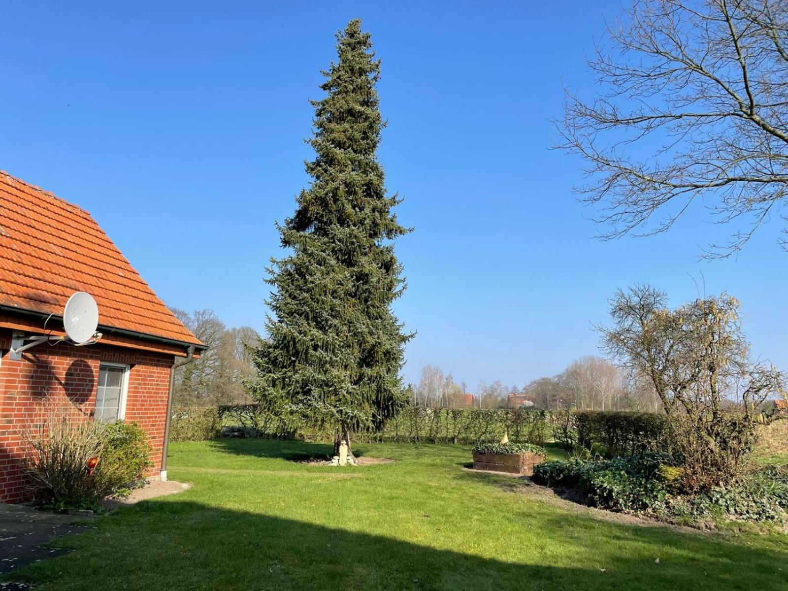 Ferienwohnung Kiebitzheide Белен Экстерьер фото